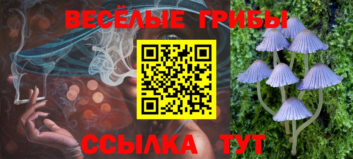 Псилоцибиновые грибы Psilocybe  Галлюциногенные грибы MAGIC MUSHROOMS  Родники  Вход с VPN 