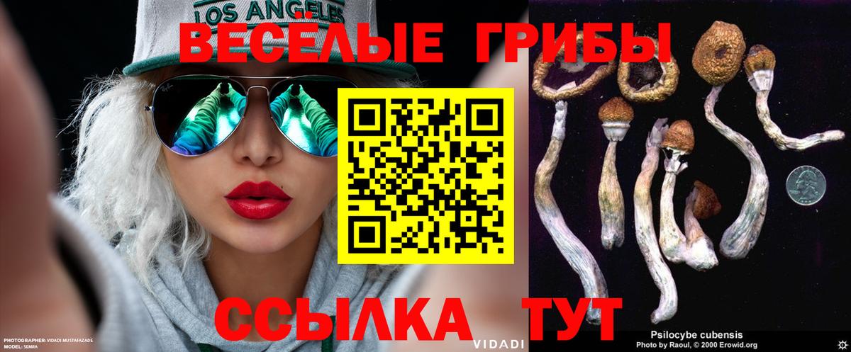 Псилоцибиновые грибы GOLDEN TEACHER Родники